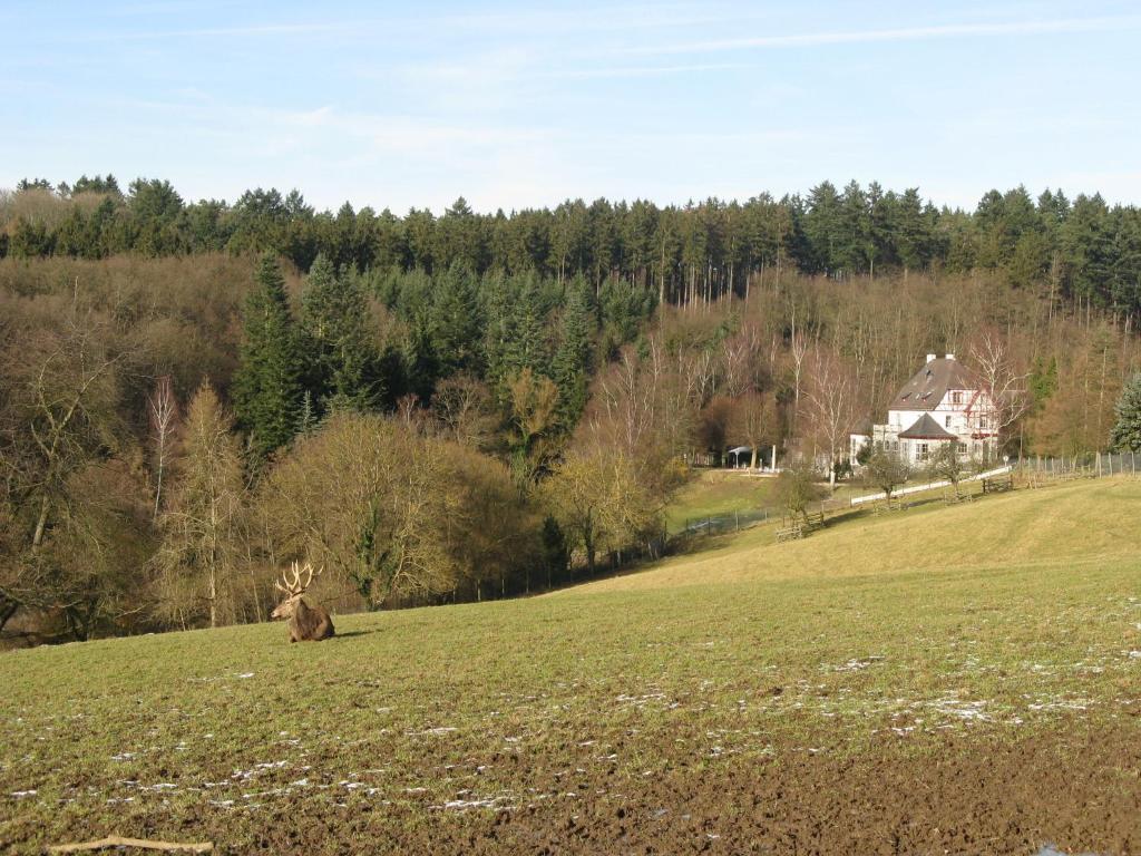 Waldhotel Forsthaus Remstecken 코블렌츠 외부 사진